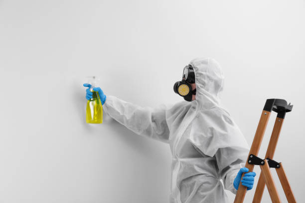 Best Water Damage & Mold Remediation  in Melody Hill, IN